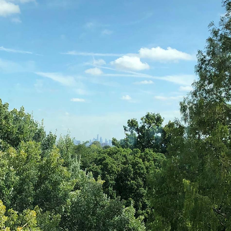 Central London from campus
